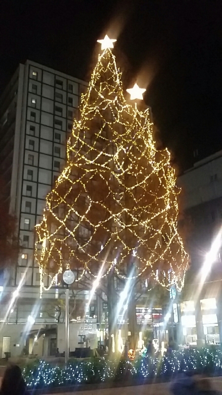 おはようございます(^-^)