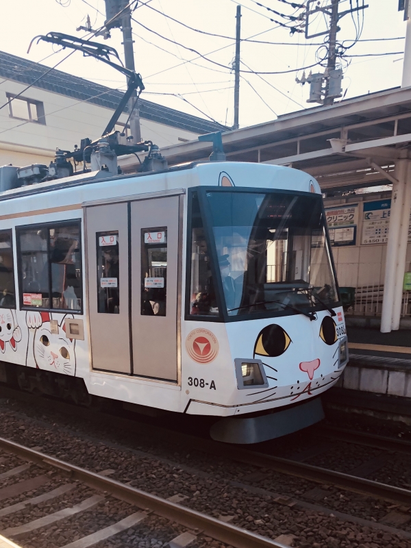 完熟バナナ新宿店　ひなです♪